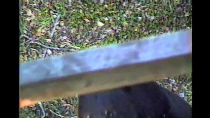 [+18 ~ Sexy Funny Girl]Big Black Bear Makes His Move