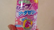 Grape Jelly Soda in Japan!