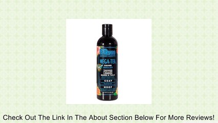 Mega-Tek Cell Hair Rebuilder 16 Oz Review