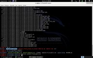 Kali Linux FruityWifi Kurulumu detayli