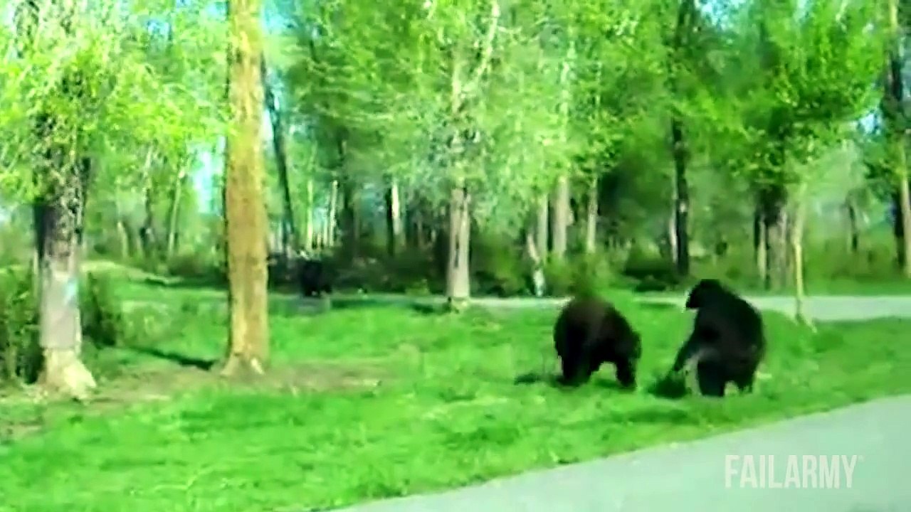 Ultimate Animal Fails - The best of