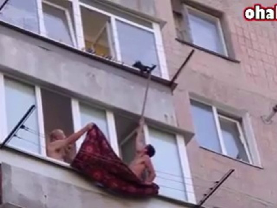 Çamaşır İpinde Asılı Kalan Bir Kedi Nasıl Kurtarılır?