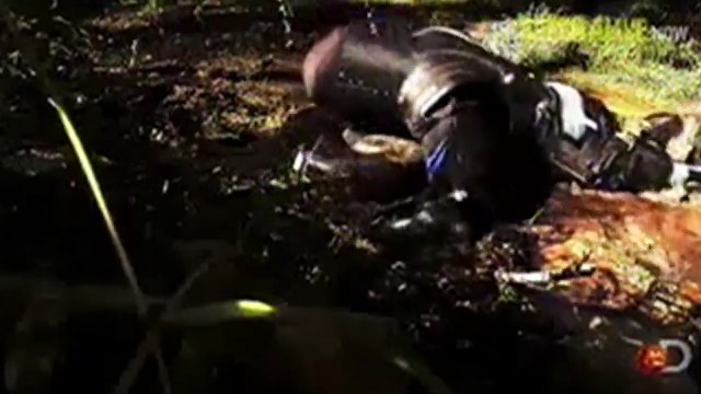 'Eaten Alive' paul rosolie tries to get swallowed-by anaconda has failed actually