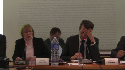 conseil municipal jeudi 4 décembre2014 partie 2