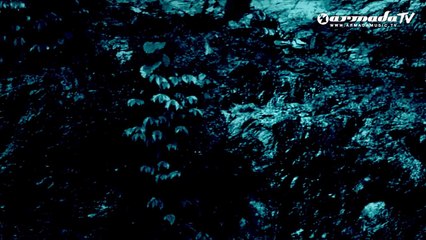 Roger Shah feat. Moya Brennan - Morning Star (Orchestral Version) (Official Music Video)