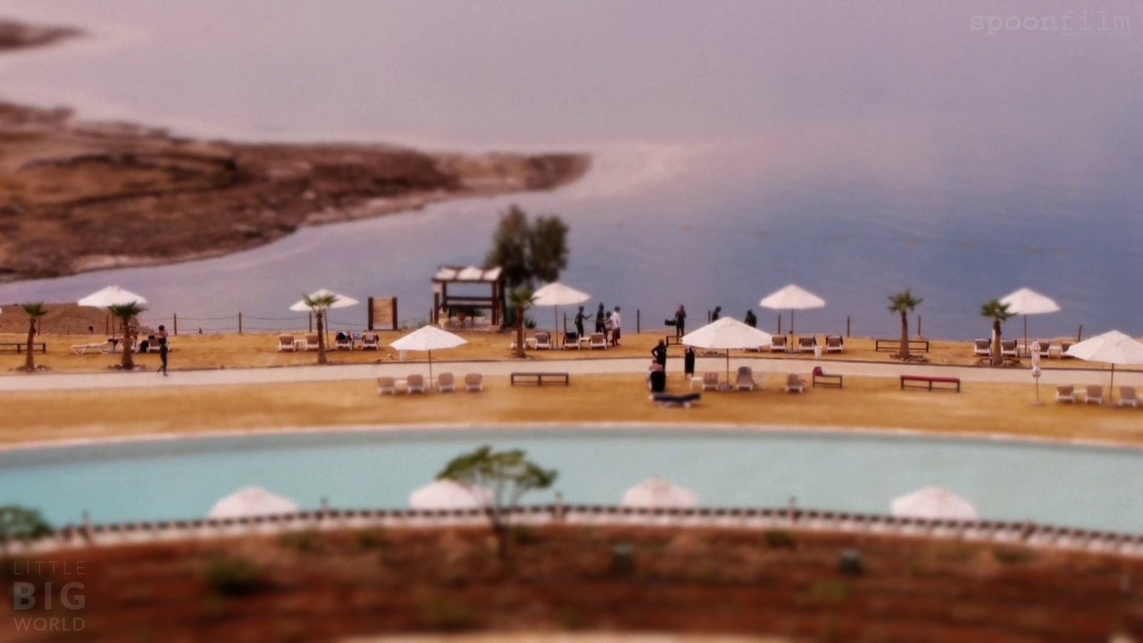 Dead Sea Dwarfs