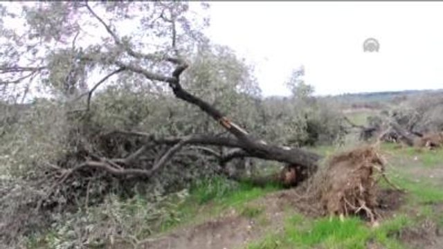 Soma'da Kurulması Planlanan Termik Santral