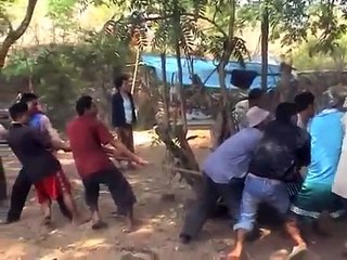 Vous ne monterez plus jamais sur le dos d'un éléphant après avoir vu ça...