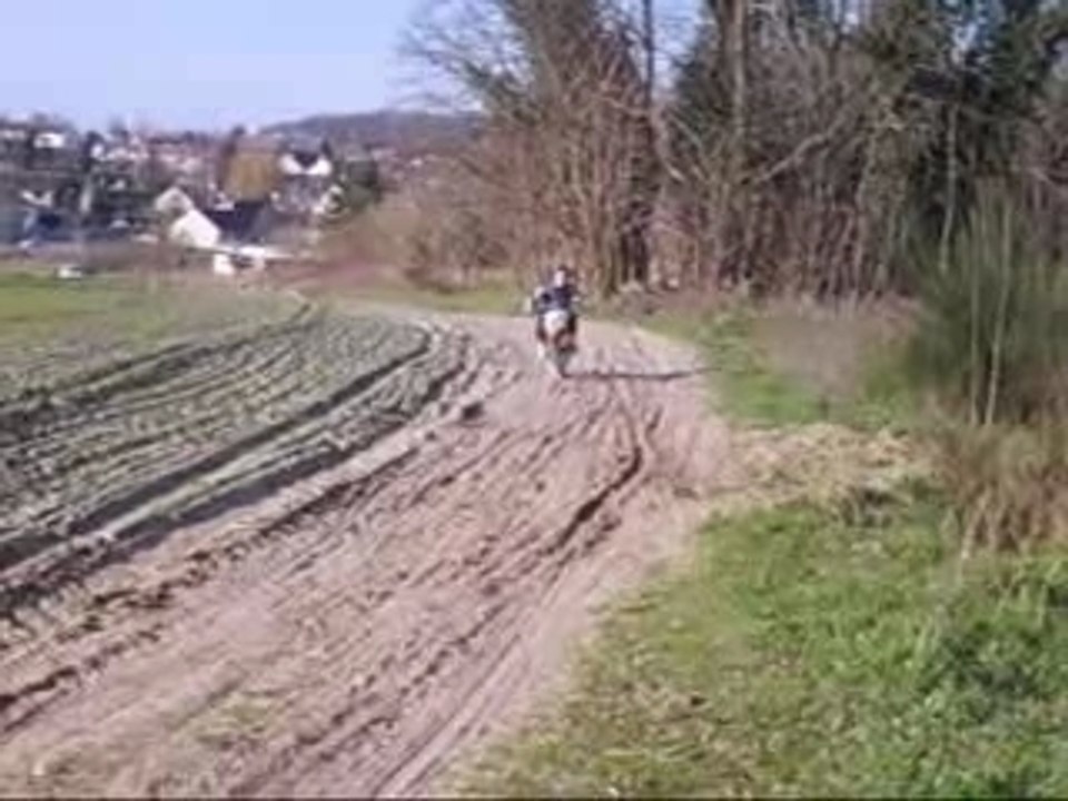 Dirt bike apollo motors arpenty