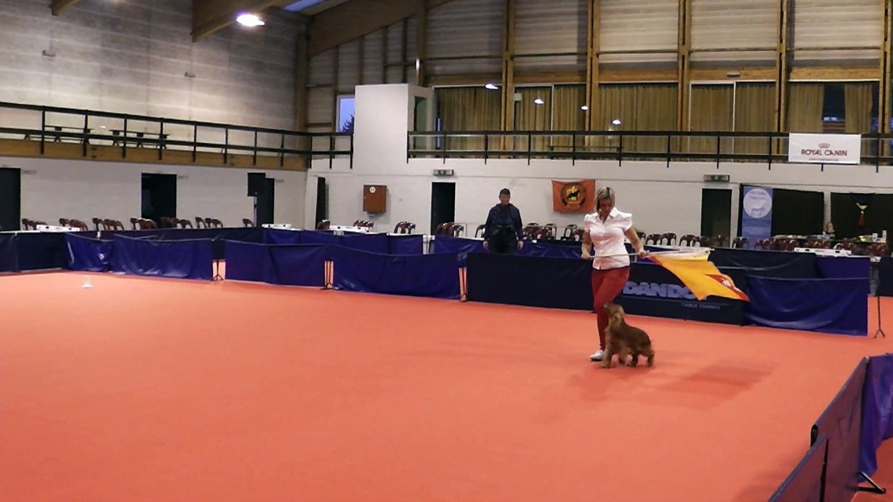 Belgium Open 2014 Help HTM Beginners