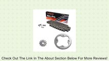 1993-2008 Honda TRX300 EX Sportrax Heavy Duty Chain and Sprocket Kit Review