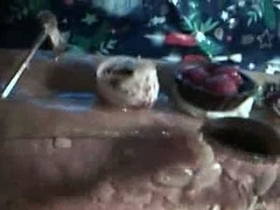Christmas log