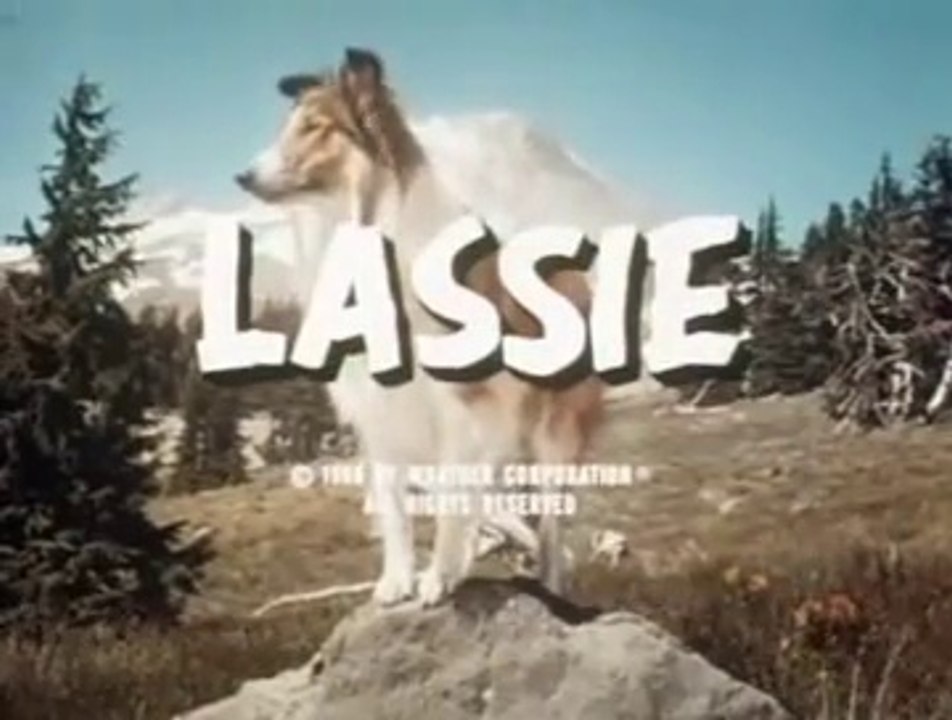 Lassie Le Pont  / 2