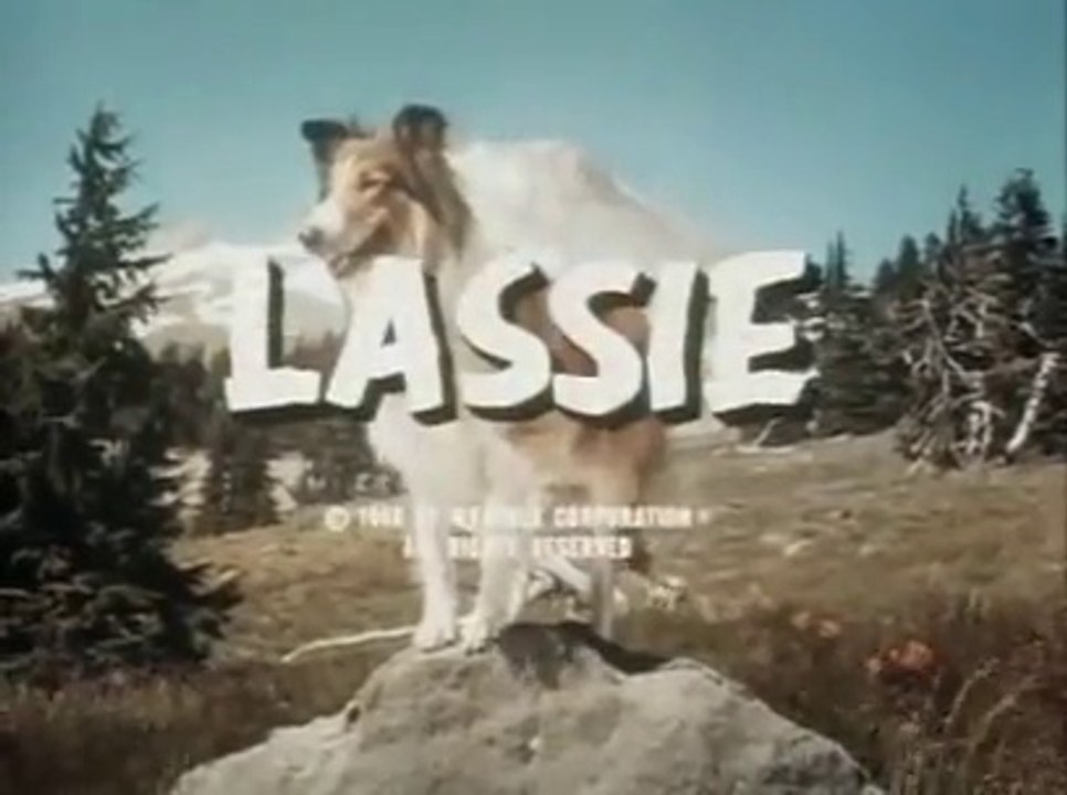 Lassie Le Ravin  / 3