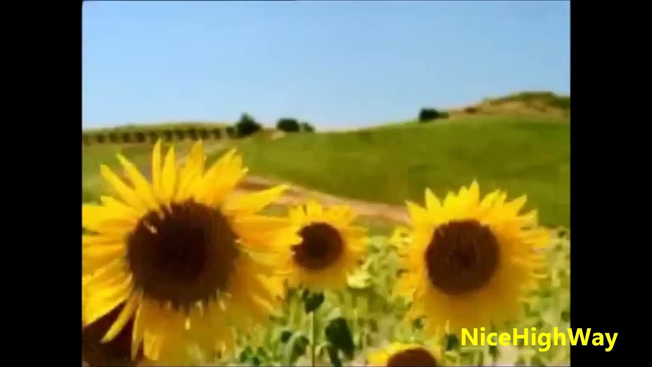 Top 5 Funny Car Ads Compilation