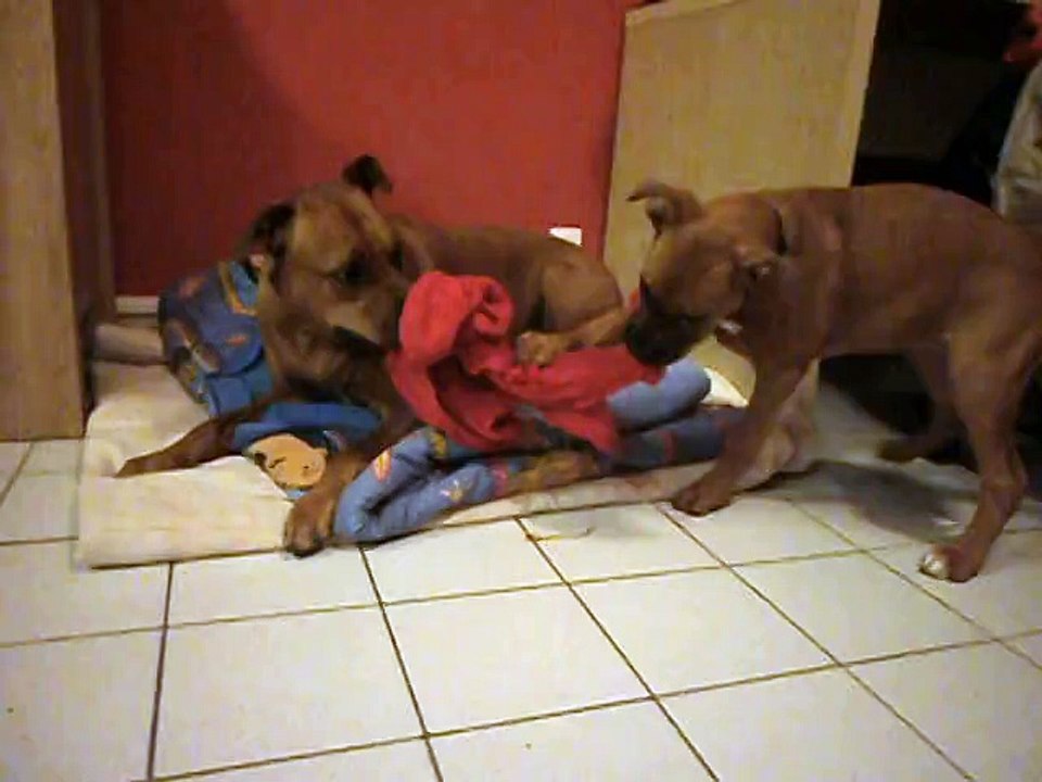 Jade le 09-12-2014 N° 2