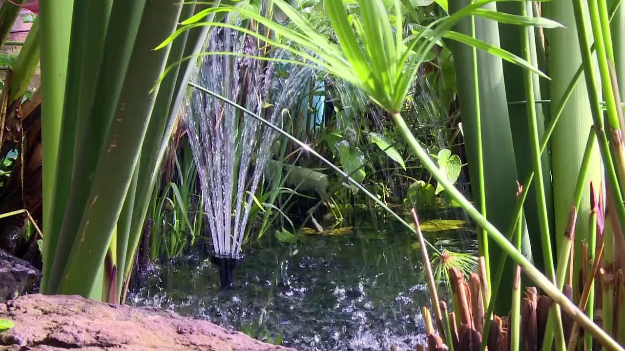 Günstig und nachhaltig: Wohnen im Earthship in der Wüste