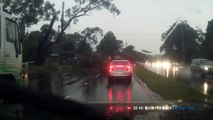 Un éclair tombe sur un arbre