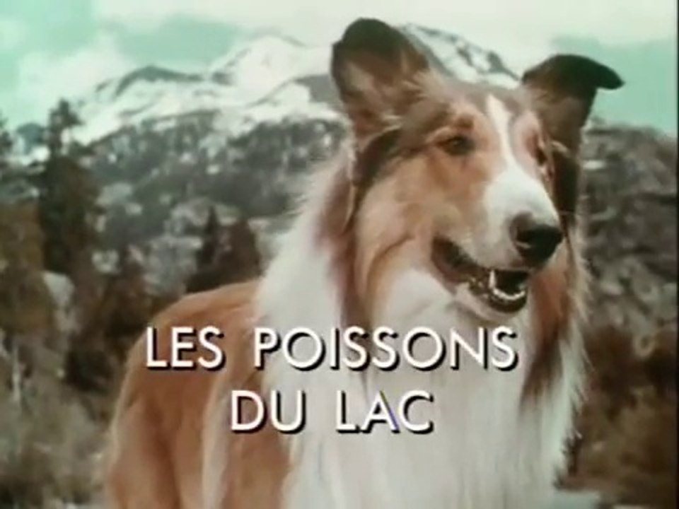 Lassie Les poissons du lac  / 5