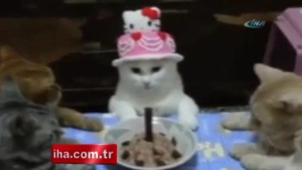 En Tatlı Doğum Günü Çocuğu