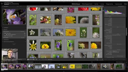 Lightroom Episode 3 Organiser ses dossiers