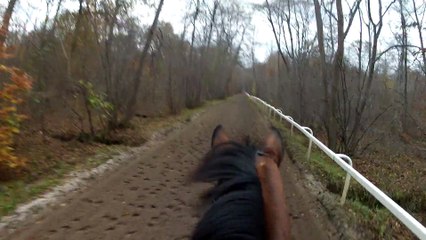 14-11-22 - Tranquille, l'américaine, pour commencer :)