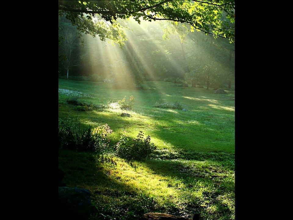 Predrag Peric-Kako ona ljubi 1974