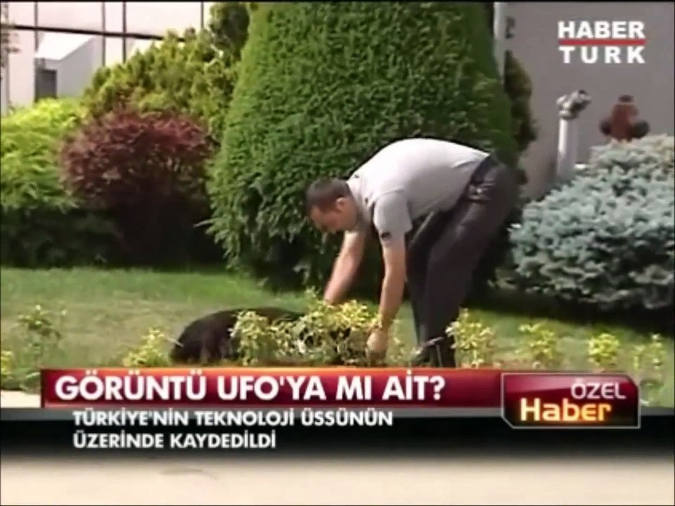 Security Cameras Records Dogs Reaction To to UFO !
