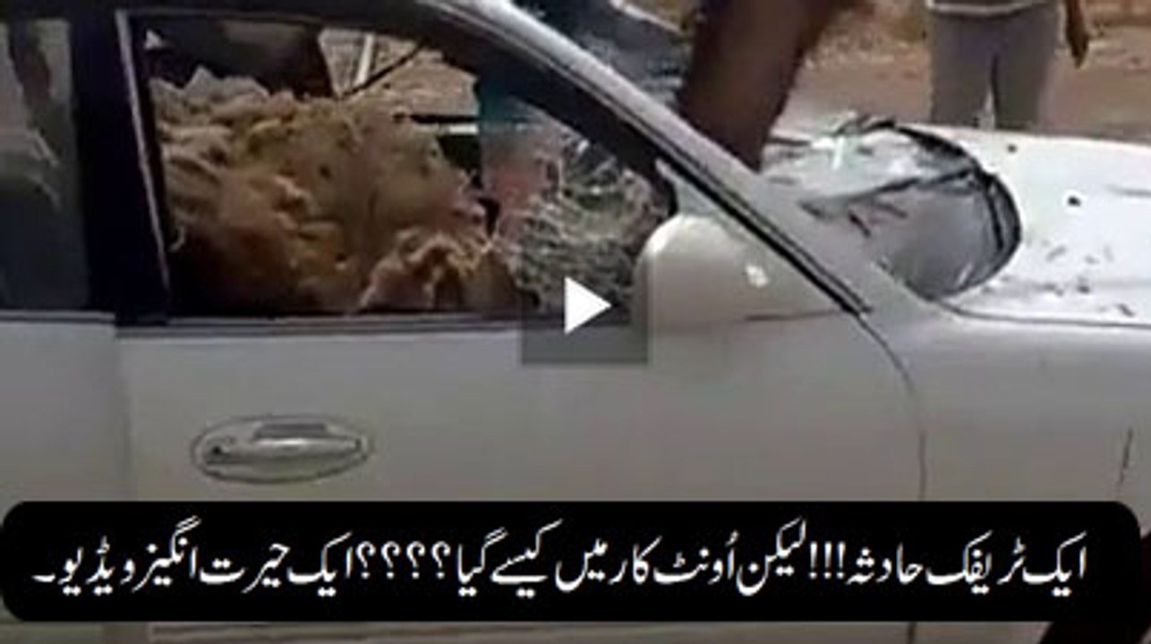 You won't believe your eyes after watching this...