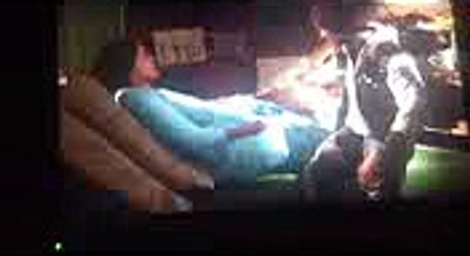 Download crime cities demo v.Not available crack updated