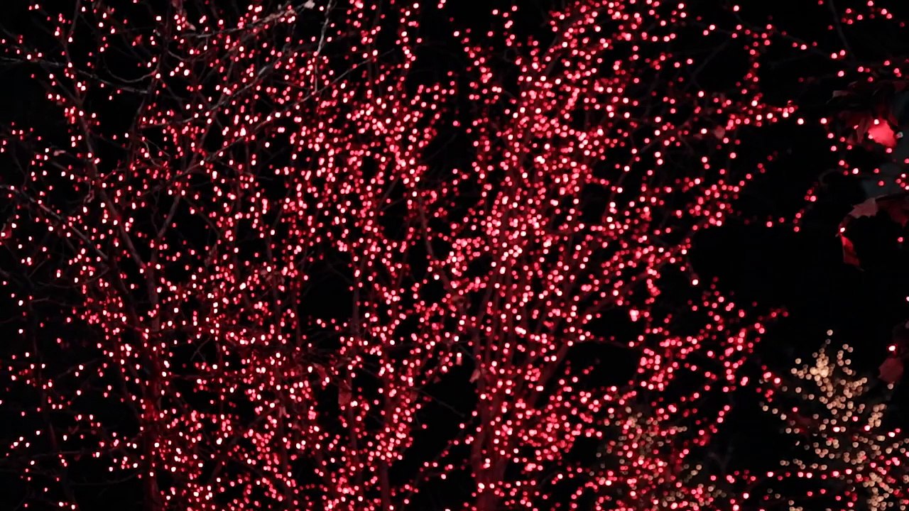 What Child Is This Gardiner Sisters Christmas Music Video.