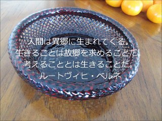 長谷川桜子（慣らし保育アドバイザー）～子どもに読み聞かせたい言葉「ルートヴィヒ・ベルネ」