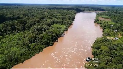 Man Eaten Alive Most Dangerous Stunt Ever