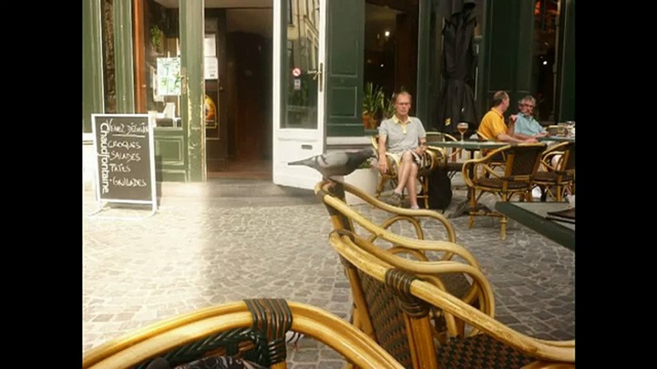 ROGER SCHEP : "A tire d'aile" (paroles et musique : Roger Schep)