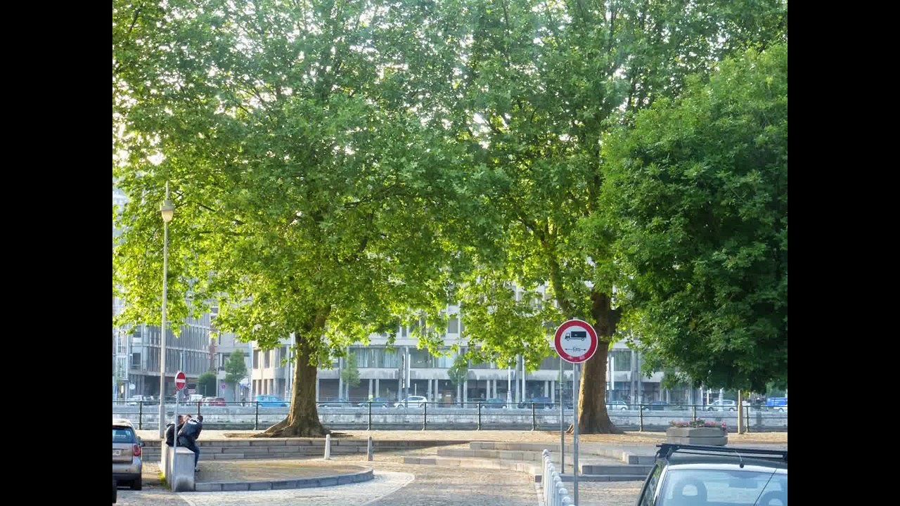 VERONIQUE (Laurent), NABIL (Khazzaka) : "Samen" (L'An Vert, Liège, 2012)