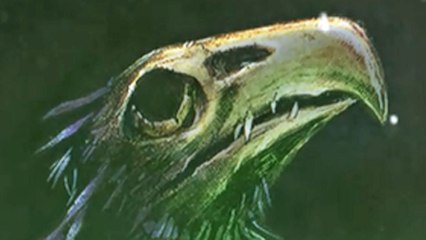 CGR Trailers - MORDHEIM: CITY OF THE DAMNED Early Access, Phase 2 Trailer