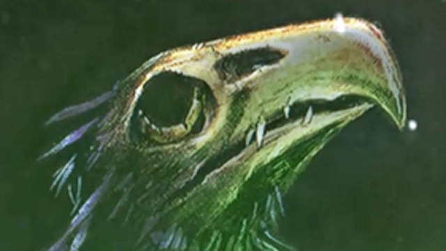 CGR Trailers - MORDHEIM: CITY OF THE DAMNED Early Access, Phase 2 Trailer