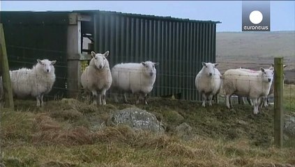 طوفان الکساندرا به سواحل بریتانیا رسید