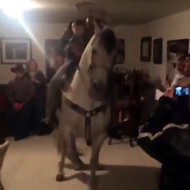 Faire la fête avec un CHEVAL dans la maison... FOU