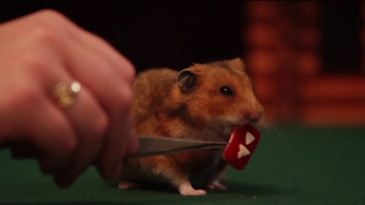 2014 Rewind : People, memes and incredible moment that made this year amazing!