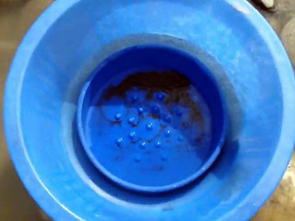 gold hunt 2