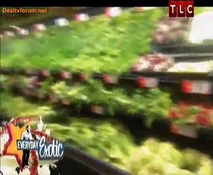 Everyday Exotic 10th December 2014 Video Watch Online pt4