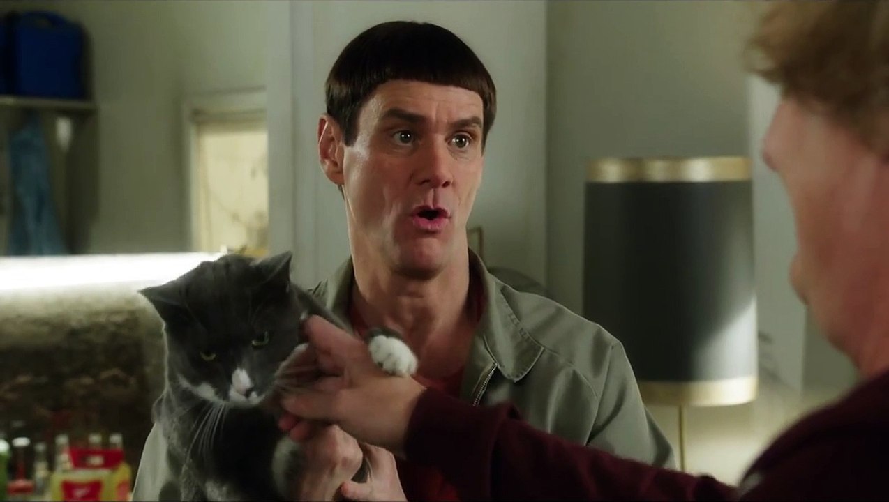 Dumb and Dumber De fait référence à Breaking Bad