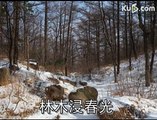 View qingdao laoshan spring snow distribution poem 