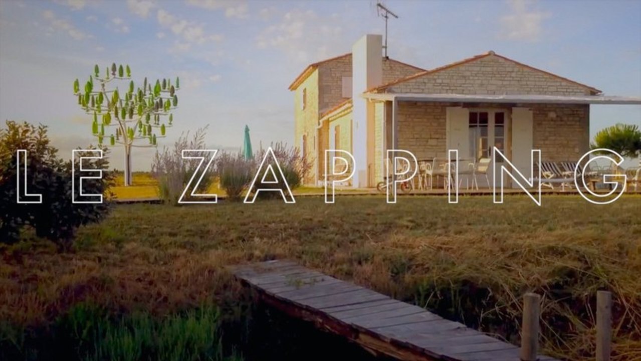 Zapping : l’arbre à vent, le sauvetage d’une orque et un président imprimé en 3D