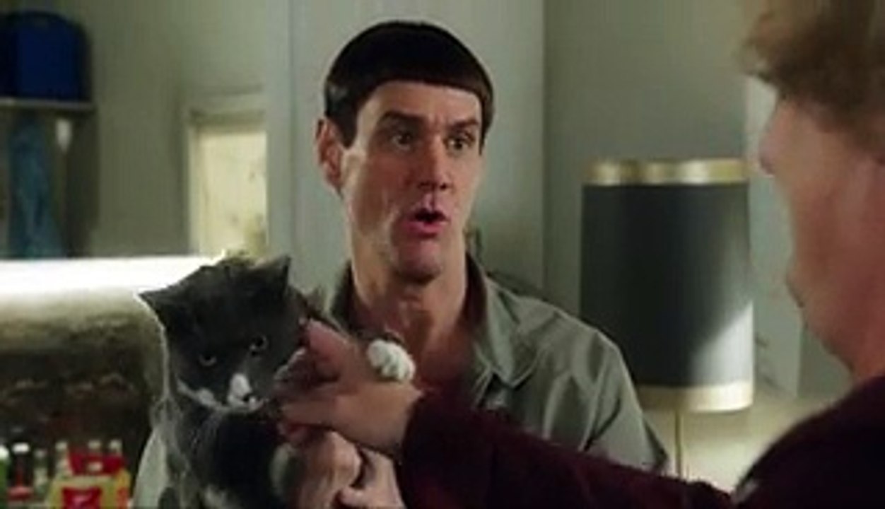 Dumb and Dumber rencontre Breaking Bad