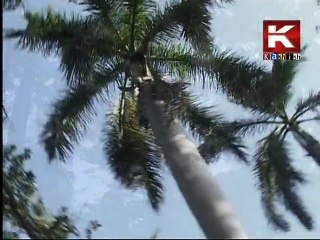 Tunhjay Pairan Jee Payal Je - Tahir Mithu