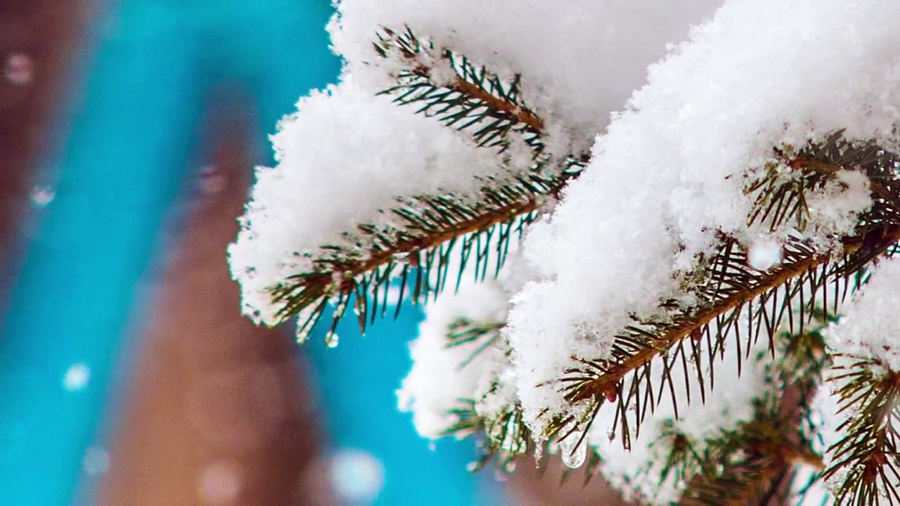Zimowa noc - Polskie kolędy