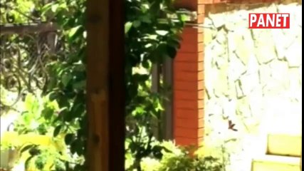 مسلسل اثير الحب الجزء الثالث الحلقة 92 كاملة مدبلجة