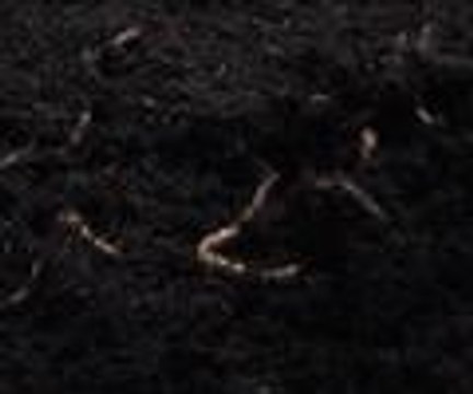 Solucanlarla siyah altın üretiyorlar